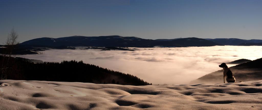 Horská Chata Návrší Hotel Staré Město Esterno foto